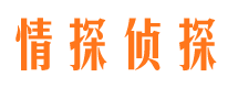 咸安市私人侦探